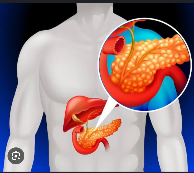 Metodologia inédita no país permite diagnosticar o câncer de pâncreas em até 72 horas