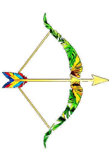 diversidade da cultura indígena