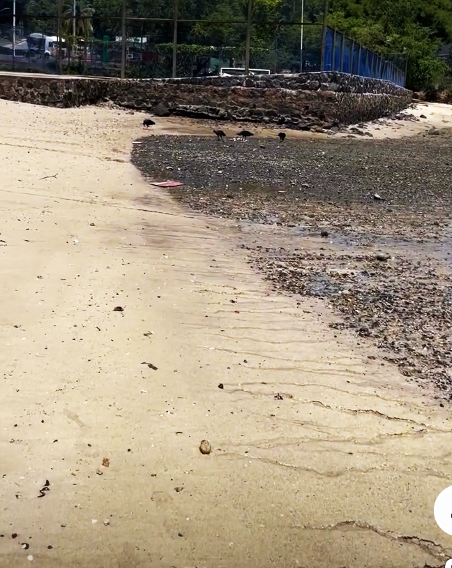 Apelo urgente: população vai às redes sociais cobrar solução nas praias de São Tomé