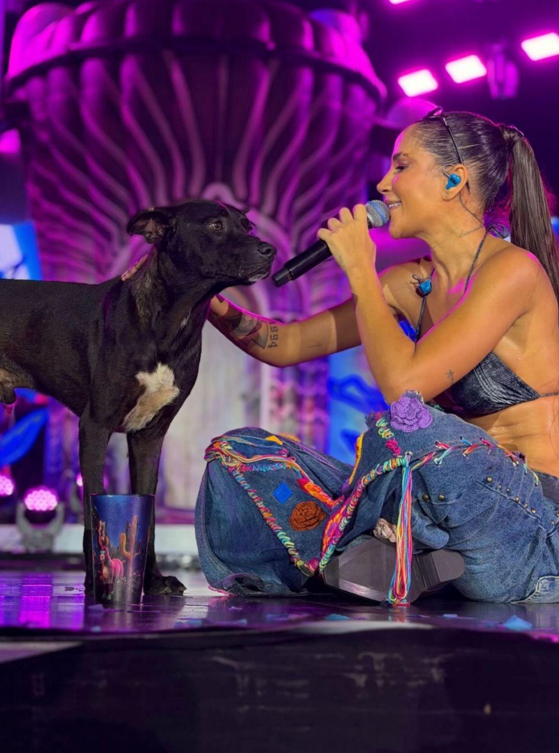 Michele Andrade adota cão após momento emocionante em gravação de “Michele no Sertão das Maravilhas” e encontro viraliza