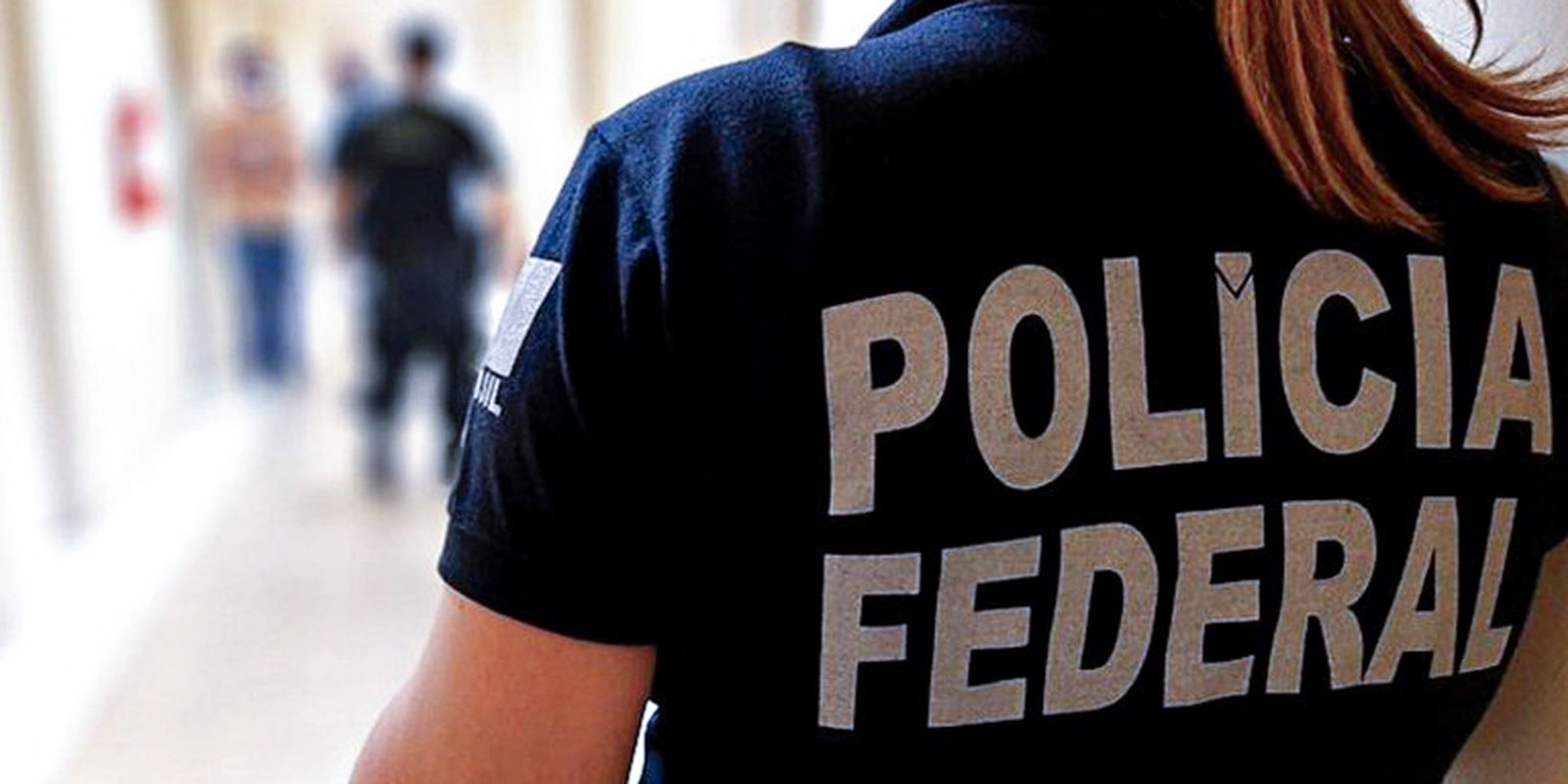 PF faz operação contra fraudes no registro de armas de colecionadores