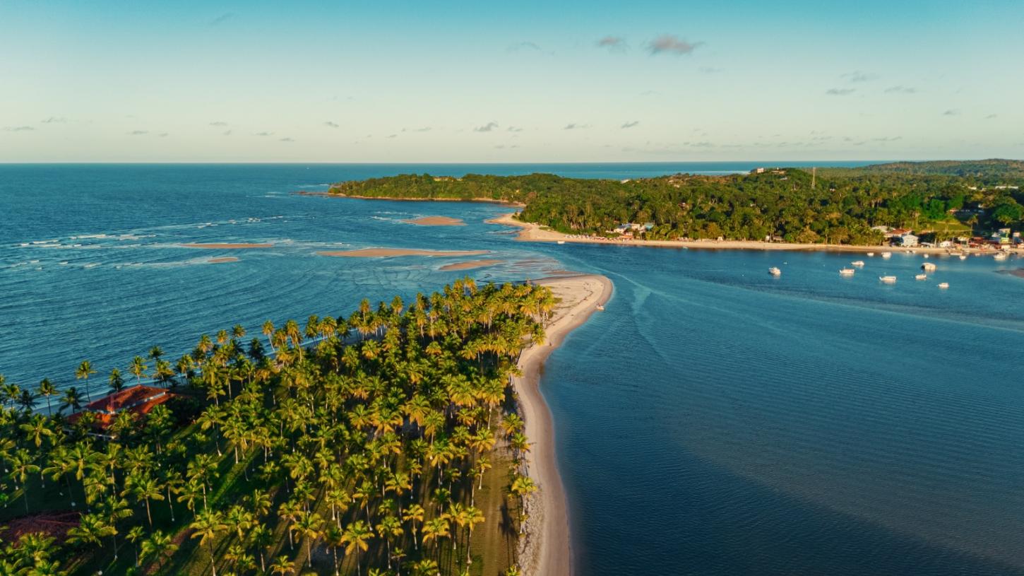Projeto Mares conclui capacitação com implantação de corais nativos na Ilha de Itaparica