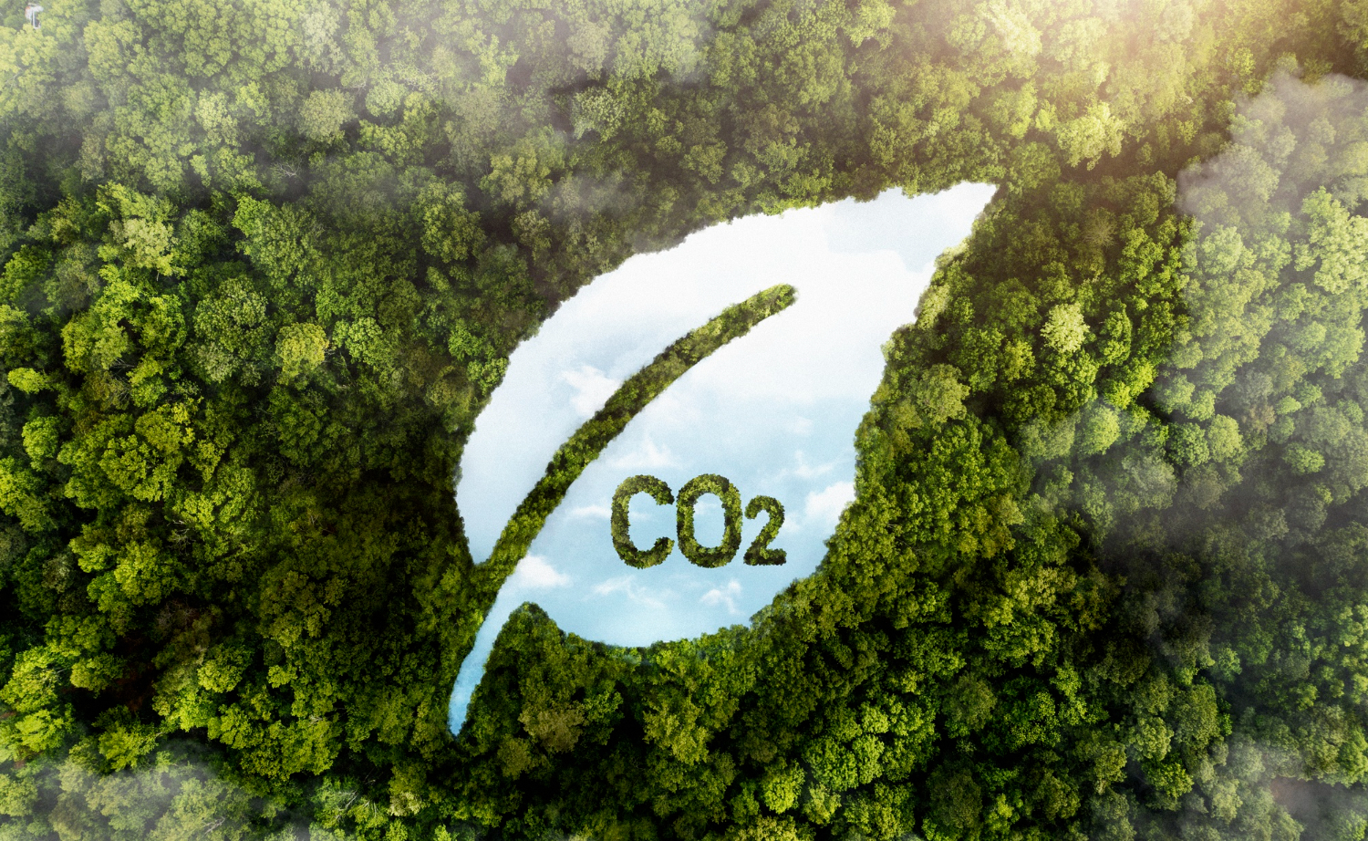 Crédito de carbono de alta qualidade sobe 75%, diz MSCI