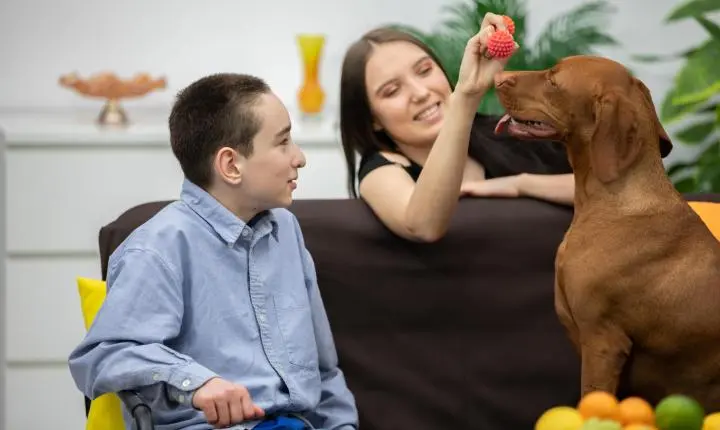 Atendimento gratuito com cães para crianças neurodivergentes