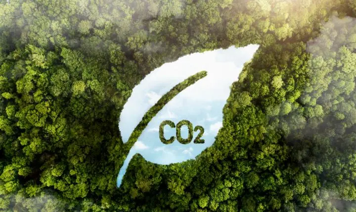 Crédito de carbono de alta qualidade sobe 75%, diz MSCI