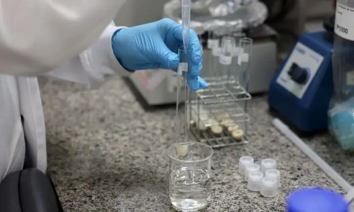 Doença de Newcastle: protocolos sanitários são cumpridos em SC