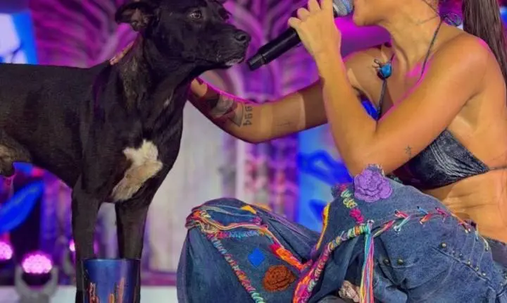Michele Andrade adota cão após momento emocionante em gravação de “Michele no Sertão das Maravilhas” e encontro viraliza