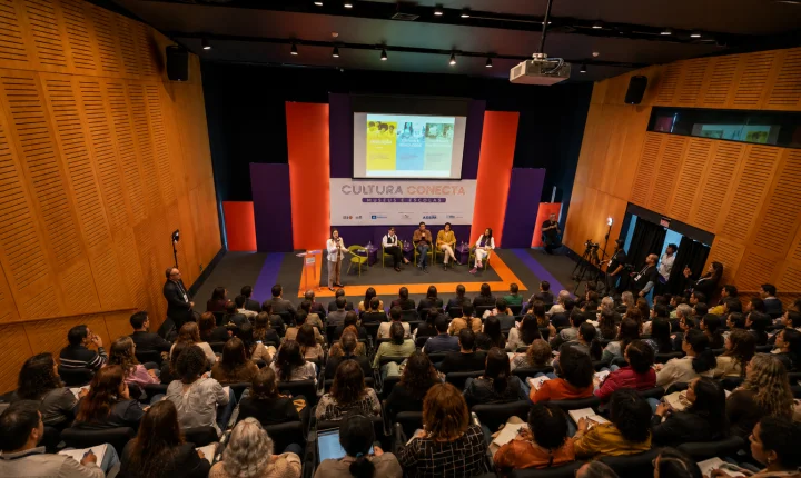 Nova Década da ONU amplia vínculos entre cultura e educação