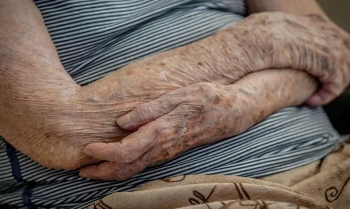 Número de lares com idosos em insegurança alimentar cai em dois anos