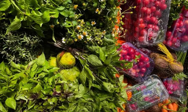 Salvador sedia edição inédita do ENPEGASTRO com foco na diversidade das gastronomias brasileiras